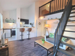 Duplex Cosy - Toulouse